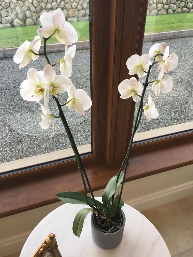 Mourne Country House Bed And Breakfast Kilkeel Eksteriør billede